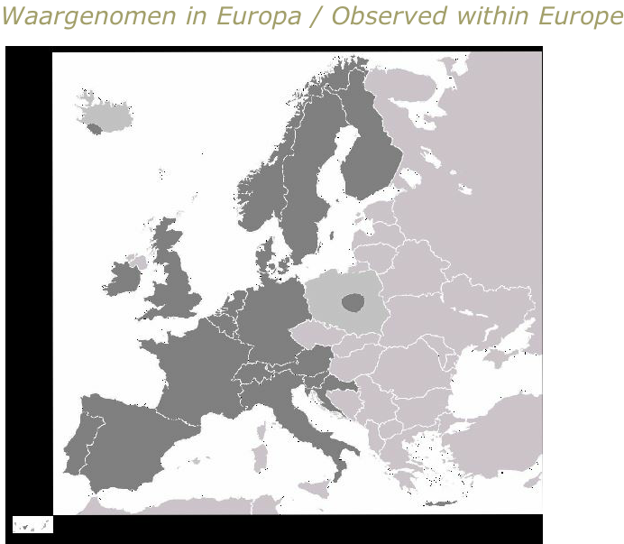 Waargenomen in Europa / Observed within Europe